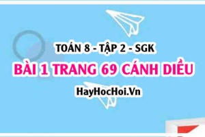 Bài 1 trang 69 Toán 8 Tập 2 Cánh Diều